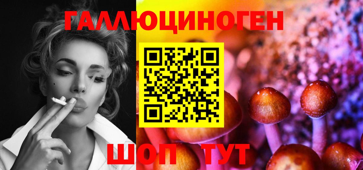 Галлюциногенные грибы Psilocybe  Вход с VPN  Ахтубинск 